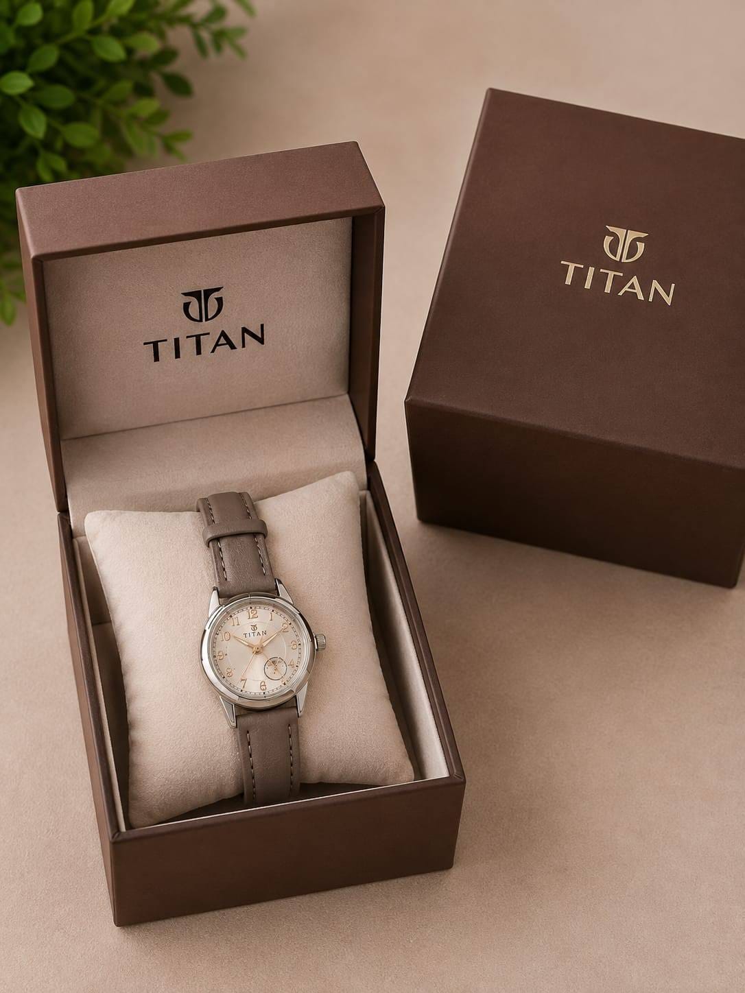 Titan analog watch