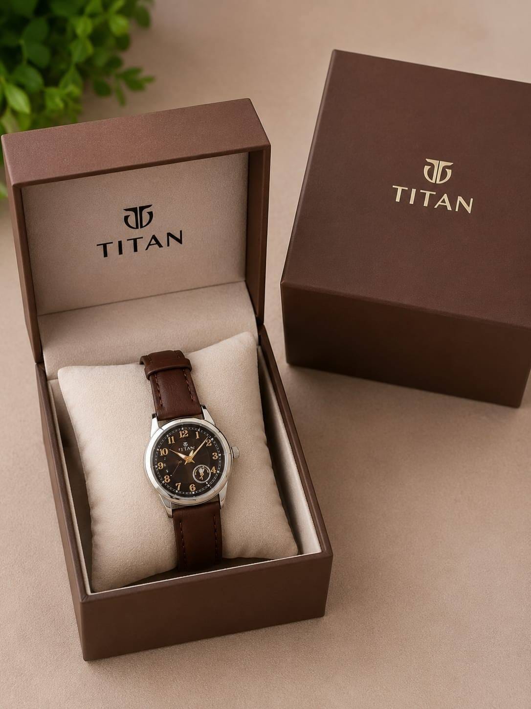 Titan analog watch